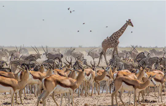 Santiago Velazco Co-Authors Paper in the Proceedings of the National Academy of Sciences