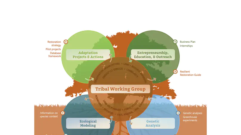 Resilient Restoration: Advancing Ecological, Cultural and Community Resilience with Tribal Communities in Southern California
