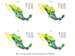 Spatial Inequality and Place Mobility in Mexico: 2000– 2015