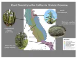 Rarity, Geography, and Plant Exposure to Global Change in the California Floristic Province
